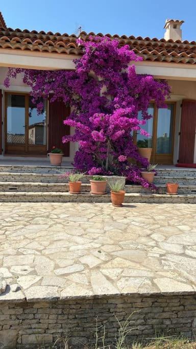 Villa Avec Jardin Au Calme A 7 Min De Cassis โรกฟอร์ต-ลา-เบดูล ภายนอก รูปภาพ